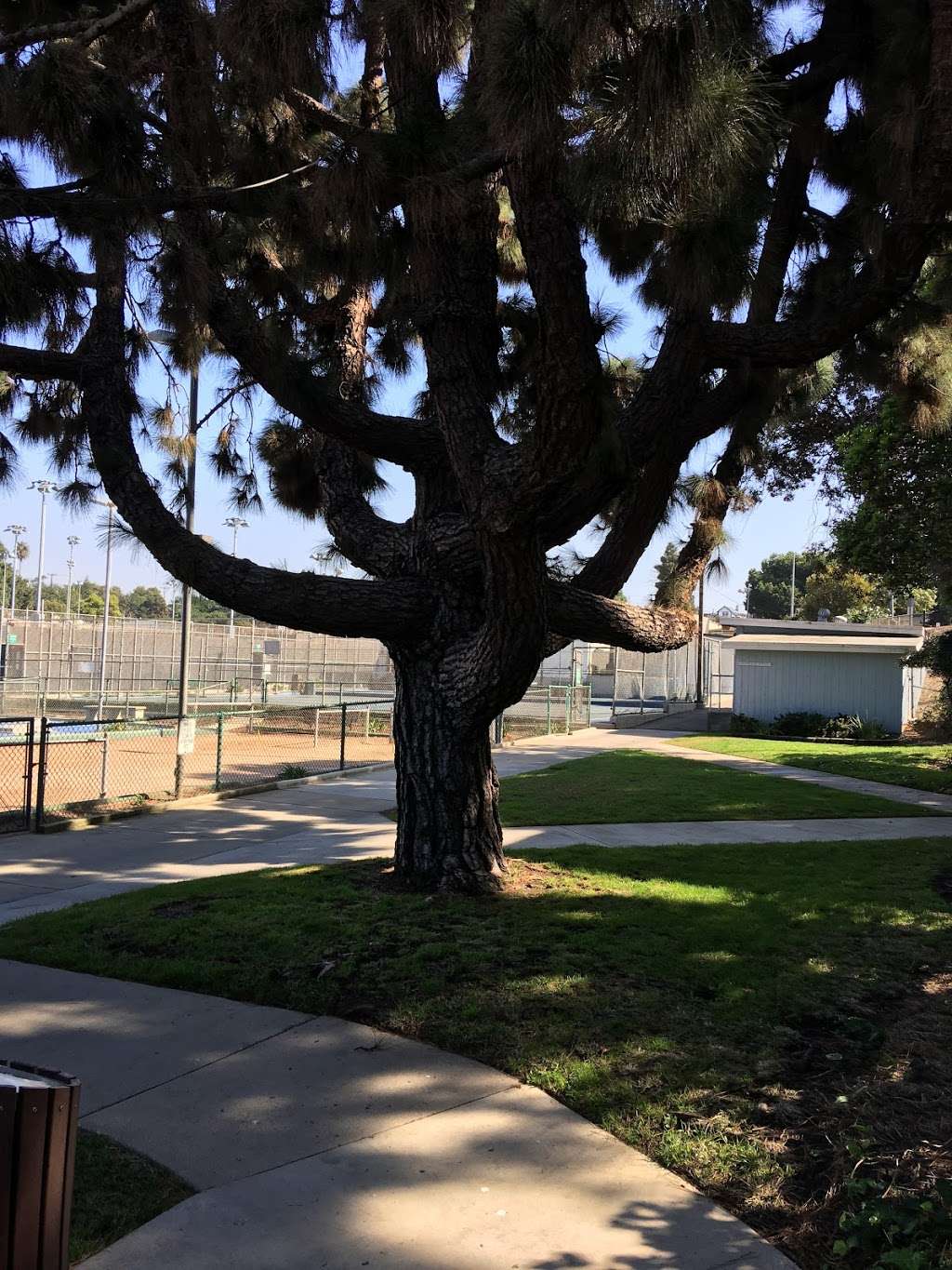 El Segundo Recreation Park - Court 1 | 300 E Pine Ave, El Segundo, CA 90245, USA | Phone: (310) 524-2700