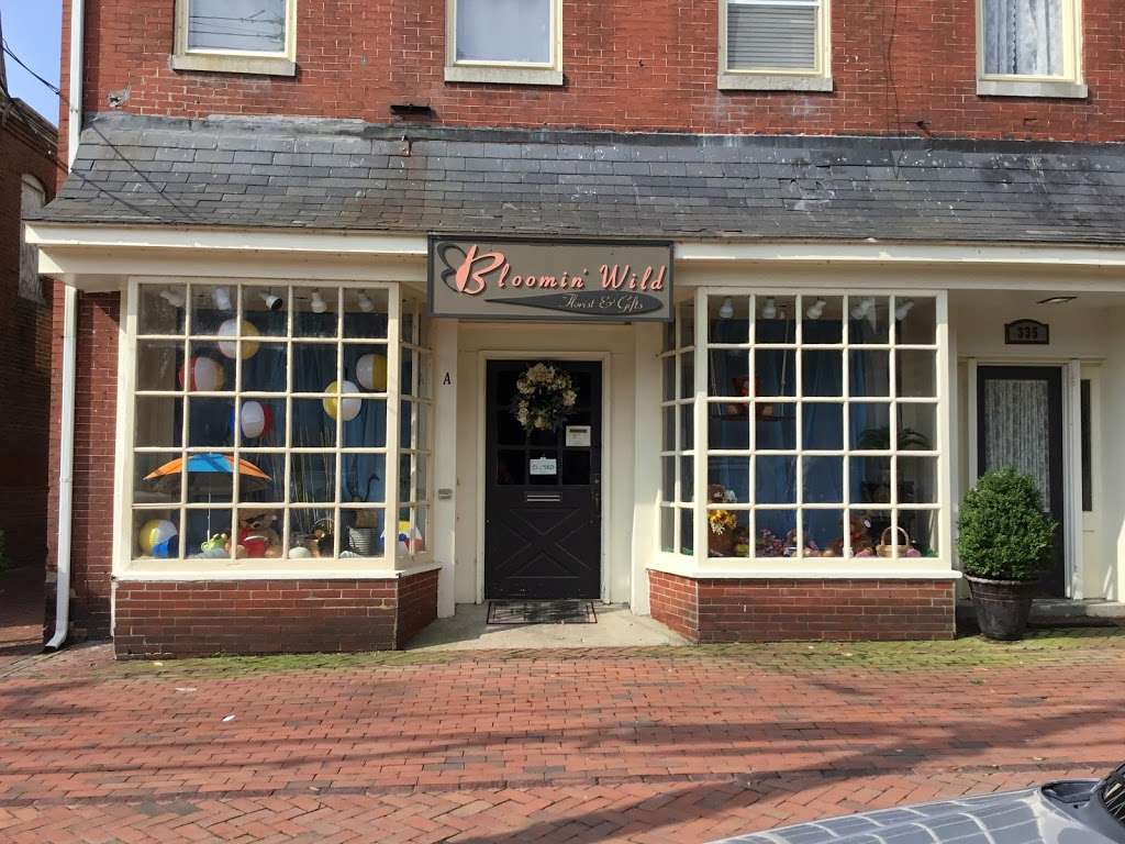 Bee Crafty Antiques & Collectibles | 335 High St A, Chestertown, MD 21620, USA | Phone: (410) 778-0479