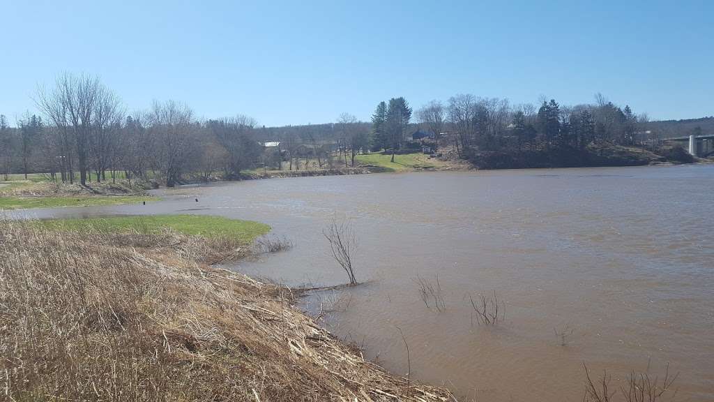 NY DEC Narrowsburg River Access Parking Lot | Narrowsburg, NY 12764, USA