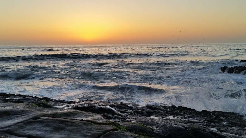 Ocean Beach Tide Pools | 1779 Ocean Front St, San Diego, CA 92107, USA