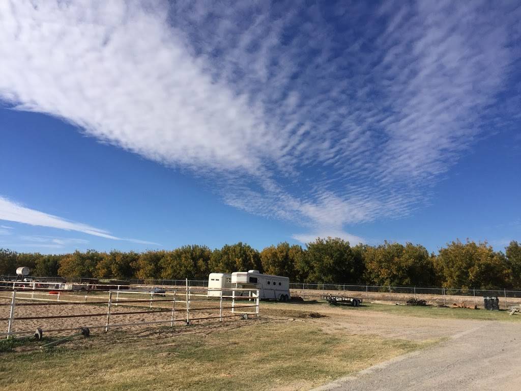 Trail Rides in El Paso @ Taylor Ranch | 330–338, FM259, Canutillo, TX 79835, USA | Phone: (915) 472-3519