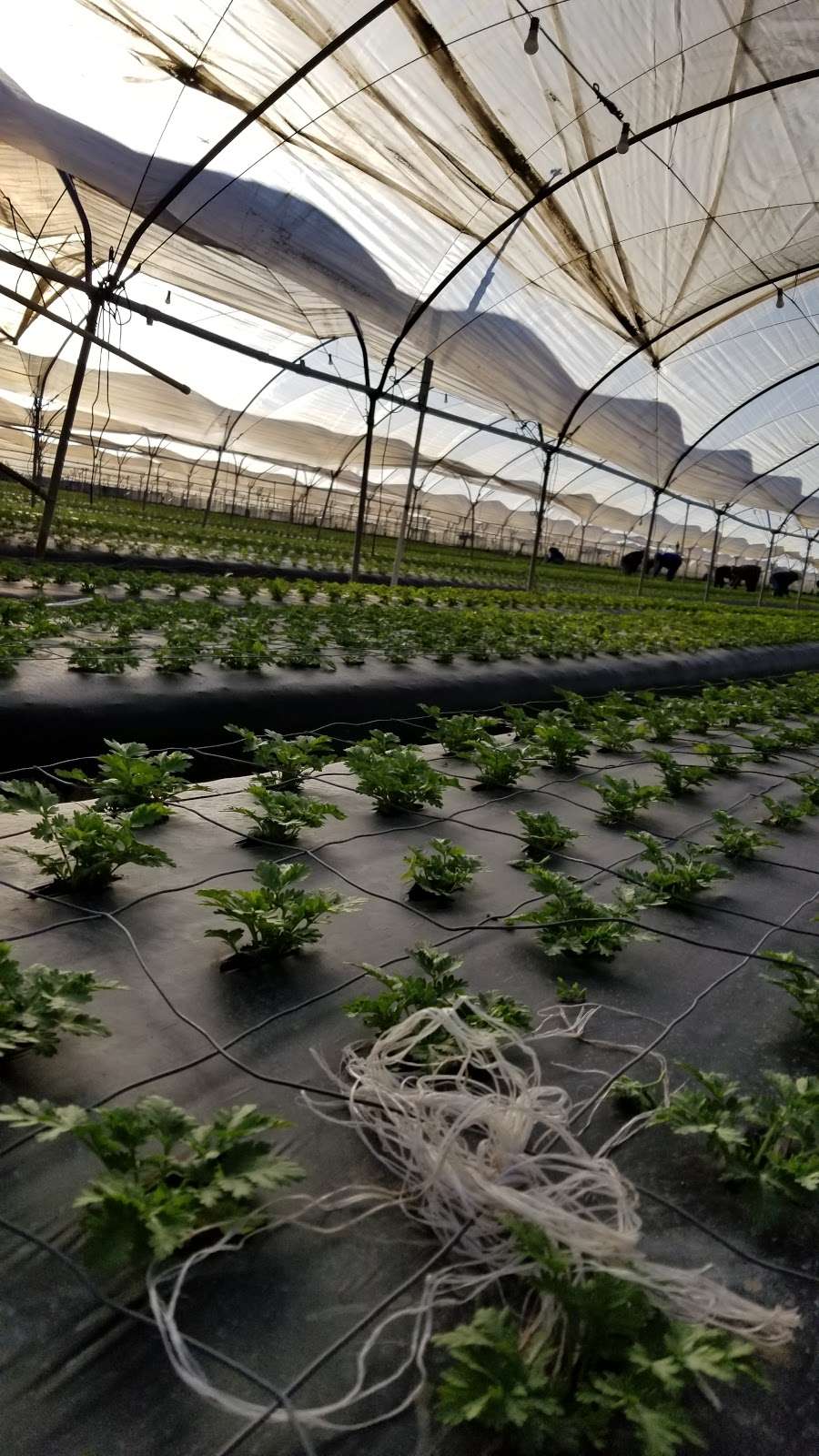 Sun Valley Group | 3132 E Pleasant Valley Rd, Oxnard, CA 93033, USA | Phone: (805) 986-1805 Sun Valley Group | 3132 E Pleasant Valley Rd, Oxnard, CA 93033, USA | Phone: (805) 986-1805