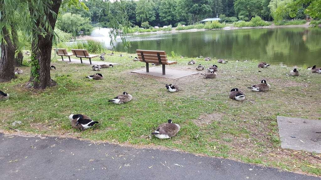 Glen Rock Duck Pond | 658 County Rte S79, Glen Rock, NJ 07452