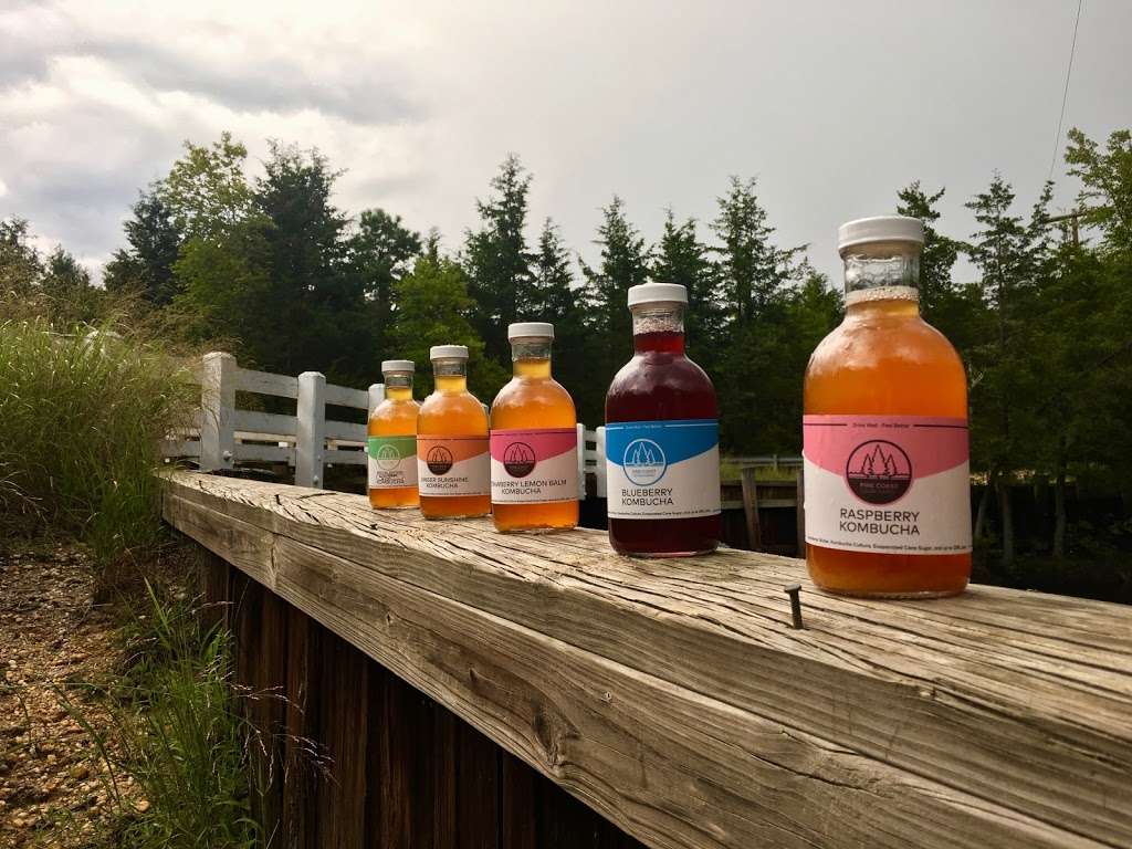 Pine Coast Culture Company | 139 Kings Highway East Rear, Haddonfield, NJ 08033, USA | Phone: (267) 225-6907