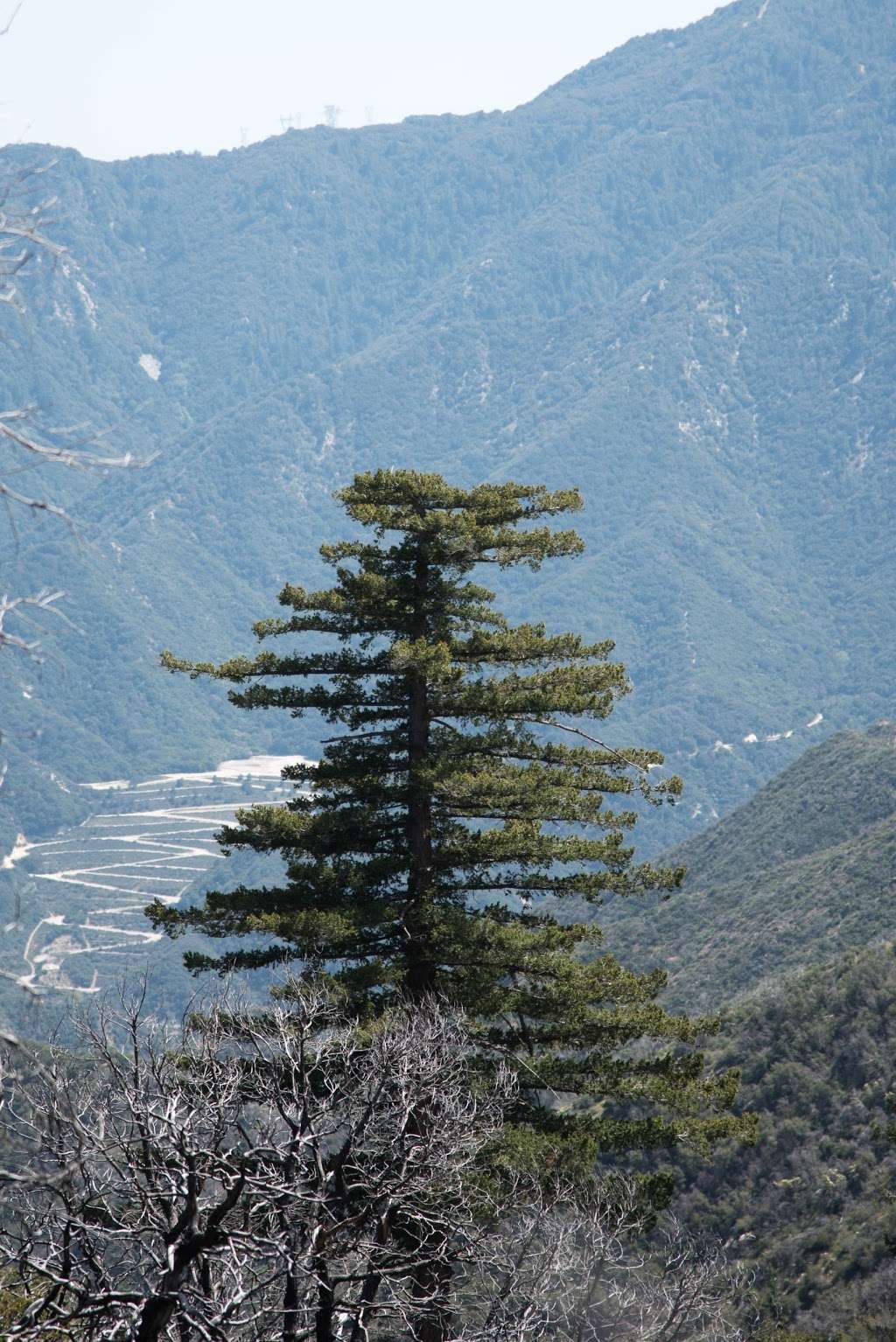 Parking and trailhead to a few unnamed trails | Angeles Crest Hwy, Palmdale, CA 93550