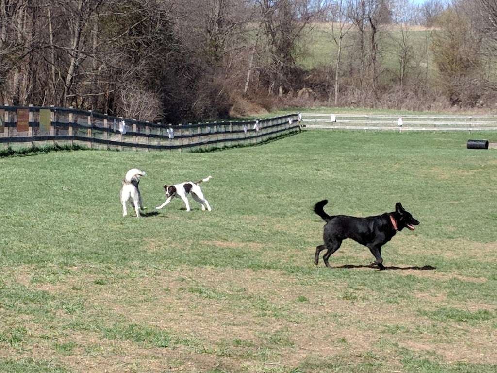 Vernon Dog Park | County Rd 517, Vernon Township, NJ 07462, USA | Phone: (201) 230-3973