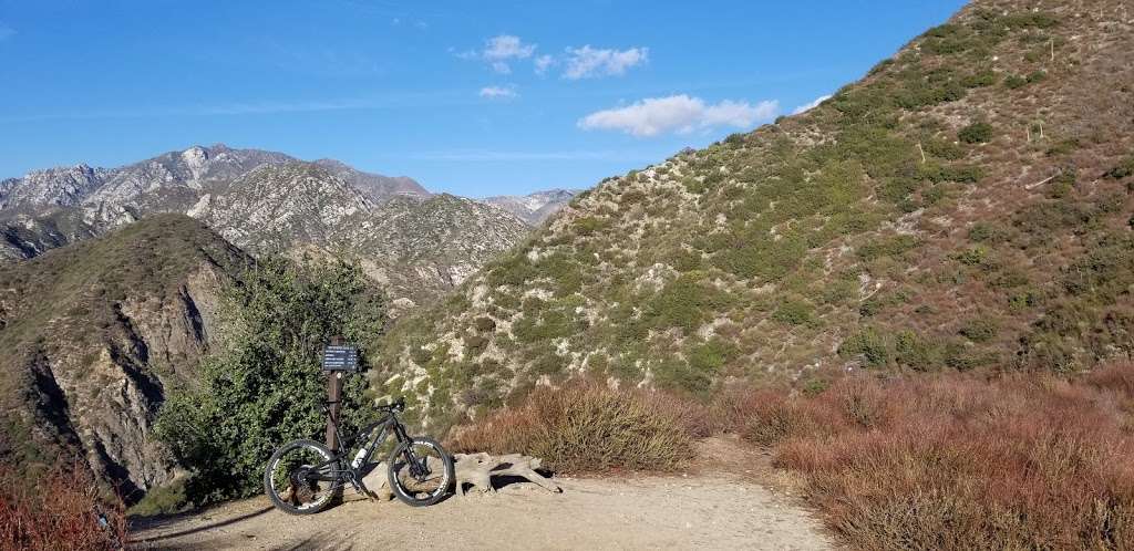 Ken Burton Trail | Brown Mountain Rd, Altadena, CA 91001