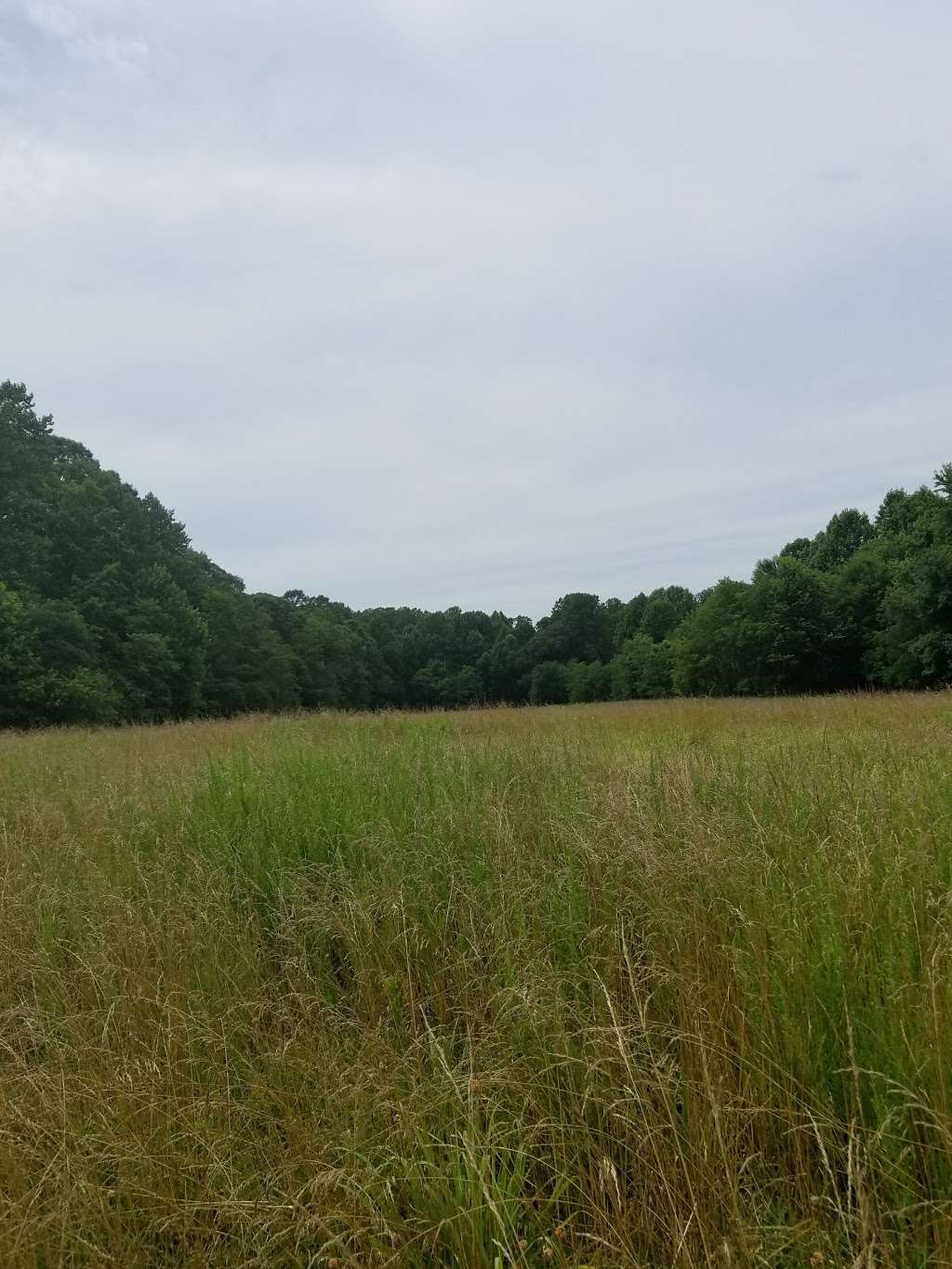 American Chestnut Land Trust South Side Trailhead | 2650 Scientists Cliffs Rd, Port Republic, MD 20676, USA | Phone: (410) 414-3400