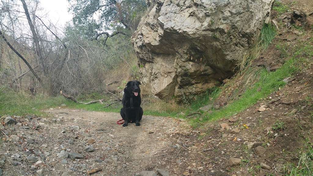 Mystic Canyon Trailhead | Mystic Canyon Trail, Glendora, CA 91741, USA