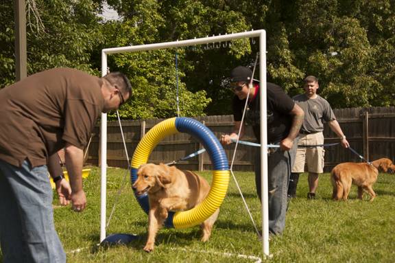 Carolina Air Canine LLC | 4553 Walpole Rd, High Point, NC 27265 | Phone: (336) 931-0909