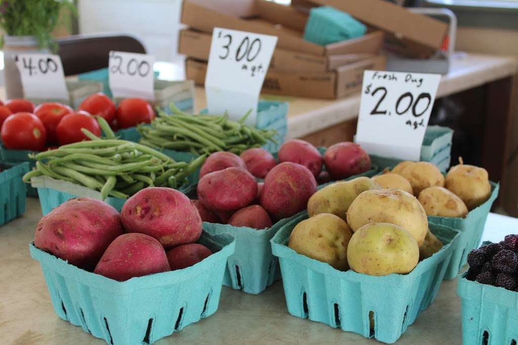 Bubbling Spring Produce | 165 N Hershey Ave, Leola, PA 17540, USA | Phone: (717) 656-0495