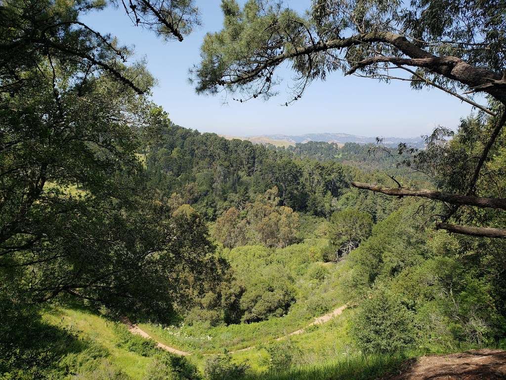 Moon Gate | Connector Trail, Oakland, CA 94611, USA