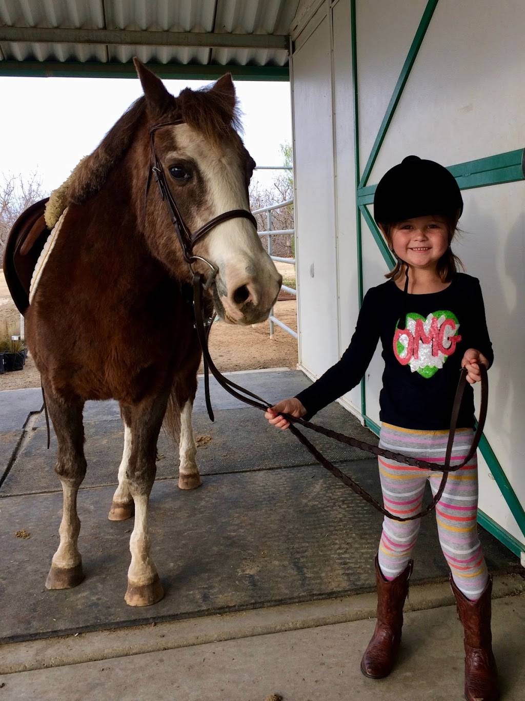 Kern Equestrian Academy | 6320 Krebs Rd, Bakersfield, CA 93308, USA | Phone: (561) 901-6695