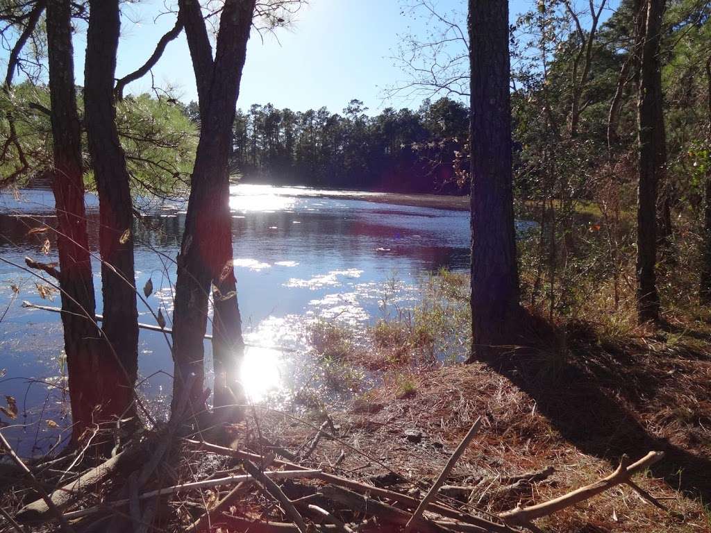 Spring Creek Nature Trail | Tomball, TX 77375, USA