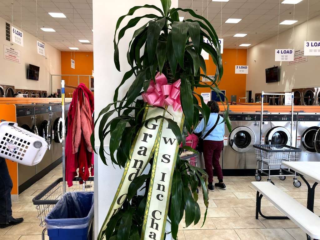 Vermont Free Dry Coin Laundry & Car Wash | 10601 S Vermont Ave, Los Angeles, CA 90044, USA | Phone: (323) 920-7847