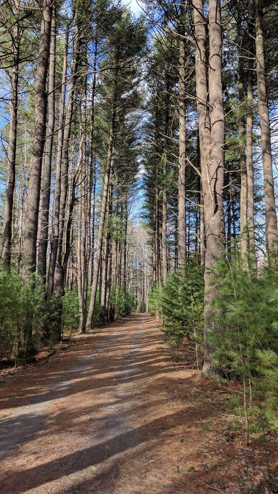 Indian Ladder Falls | Leavitt Branch, Greentown, PA 18426, USA