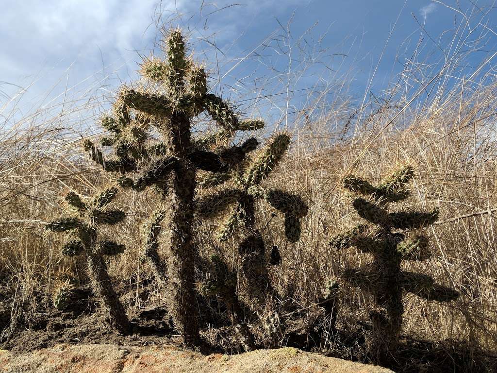 Ranger Station and Visitor Center | 8471 N Pacific Coast Hwy, Laguna Beach, CA 92651, USA | Phone: (949) 494-9143