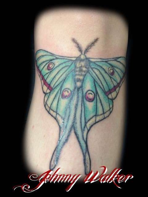 Creative Canvas Tattoo | 2102 S Main St, Higginsville, MO 64037, USA | Phone: (660) 584-8288