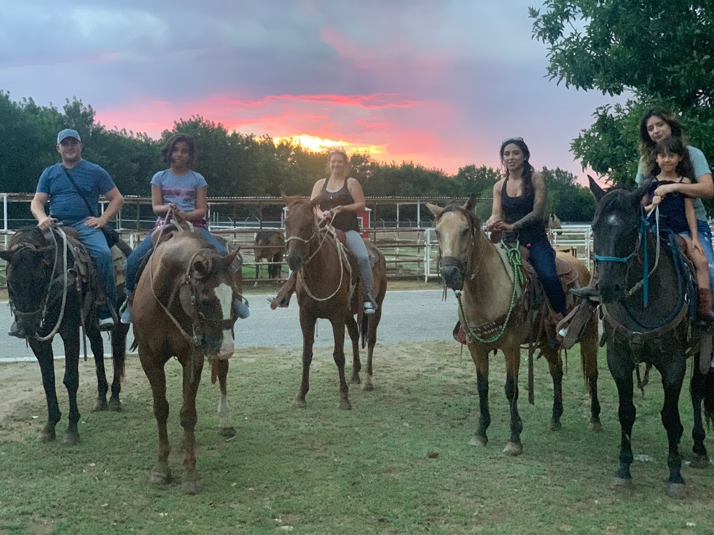 El Paso Valley Trail Rides and Horseback River Rides | 327Strahan Roadbox3175, Canutillo, TX 79835, USA | Phone: (915) 472-3519