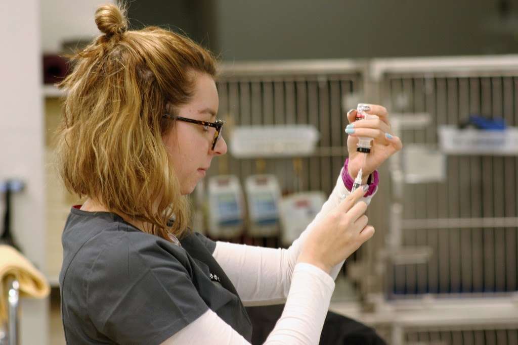 Artemis Veterinary Emergency & Specialty Services | 7951 Gainsford Ct #115, Bristow, VA 20136, USA | Phone: (703) 722-9159 Artemis Veterinary Emergency & Specialty Services | 7951 Gainsford Ct #115, Bristow, VA 20136, USA | Phone: (703) 722-9159