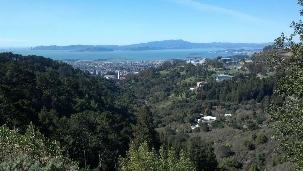 Parking Lot for Strawberry Canyon Fire Trail | Centennial Dr, Berkeley, CA 94705