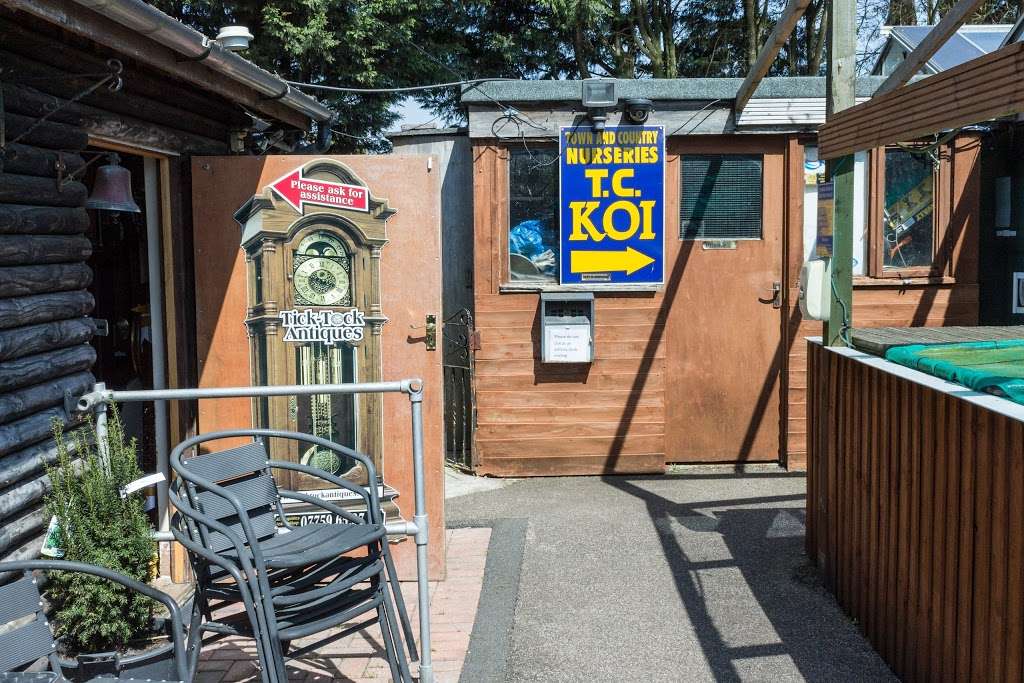 T C Koi | Tilbury Rd, West Horndon, Brentwood CM13 3LS, UK | Phone: 01277 811563