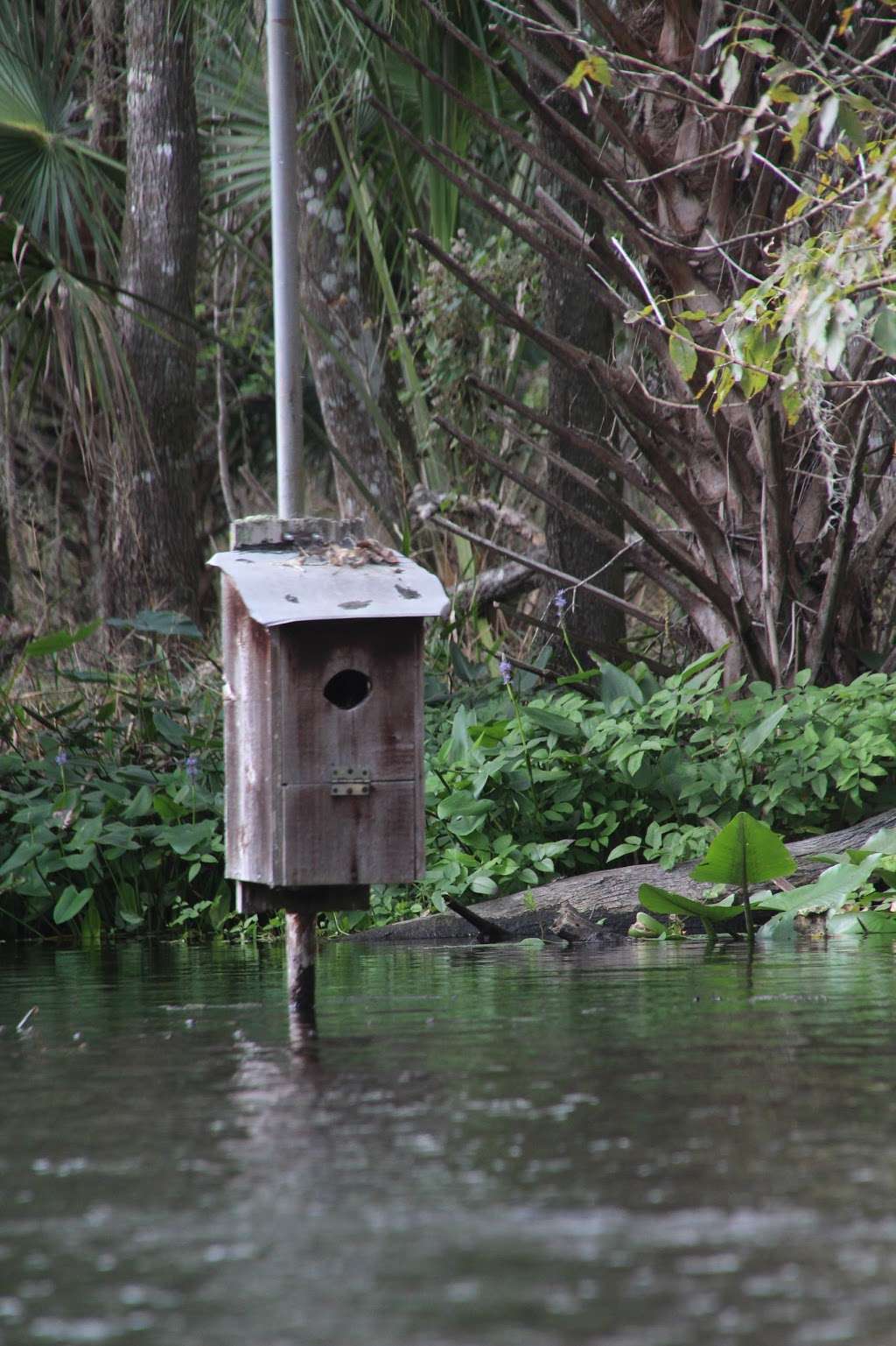 Katies Landing at Wekiva River | 262 Wekiva Park Dr, Sanford, FL 32771, USA | Phone: (407) 884-2009