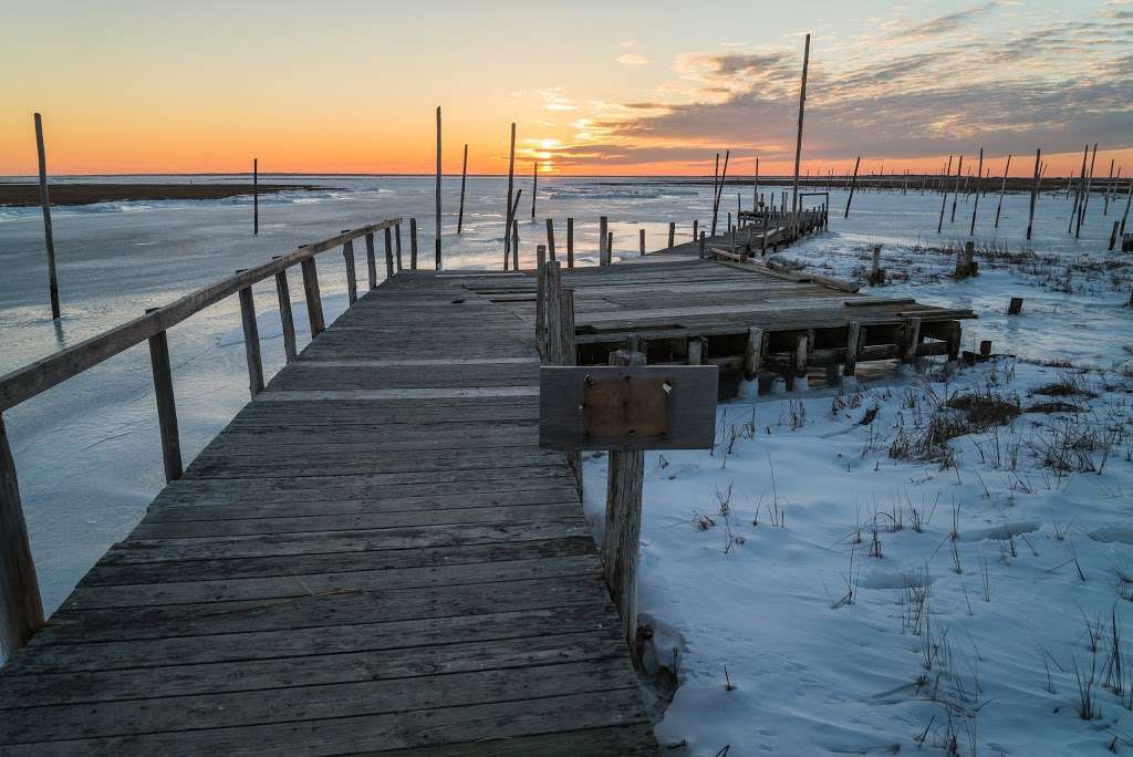 Great Bay Boulevard Wildlife Management Area | Little Egg Harbor Township, NJ 08087, USA