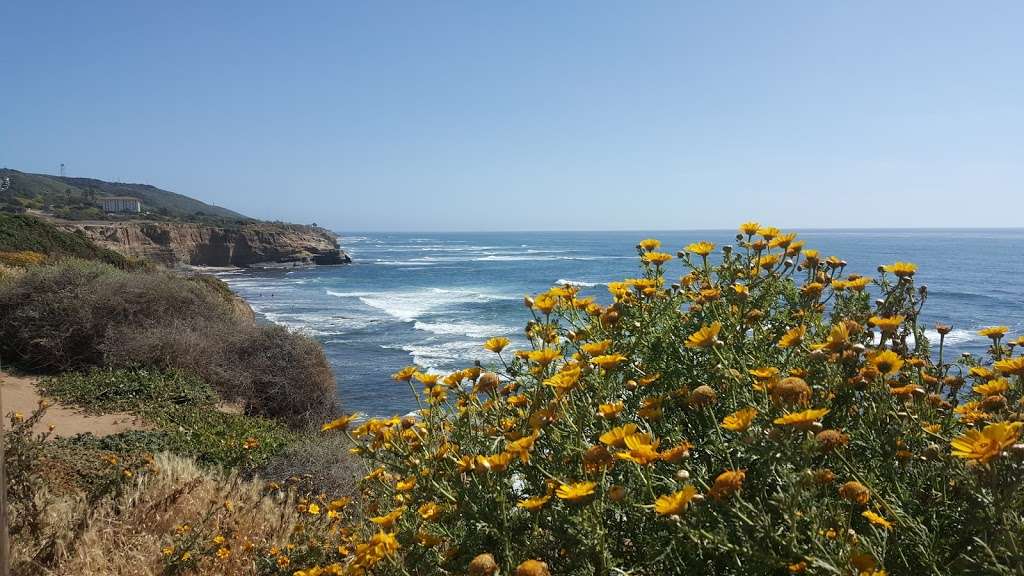 Sunset Cliffs Natural Park | Ladera St, San Diego, CA 92107, USA | Phone: (619) 525-8213