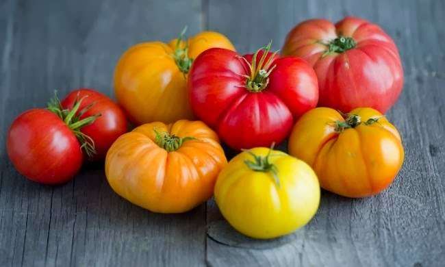 Nutressante | 10 Northern Blvd, Amherst, NH 03031, USA | Phone: (603) 204-5568