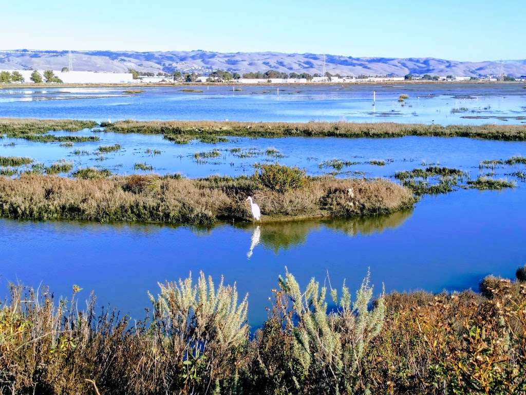 Eden Landing Ecological Reserve | Union City, CA 94587, USA | Phone: (707) 944-5500