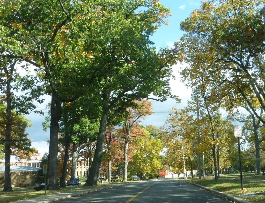 College of Saint Elizabeth | 2 Convent Rd, Morristown, NJ 07960, USA | Phone: (973) 290-4000