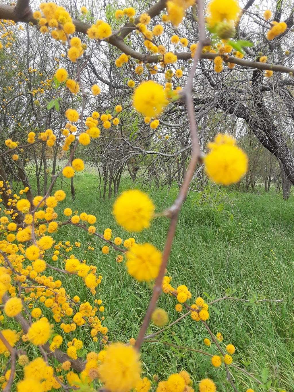 Bamberger Trailhead | 12401 Babcock Rd, San Antonio, TX 78249, USA | Phone: (210) 207-6000