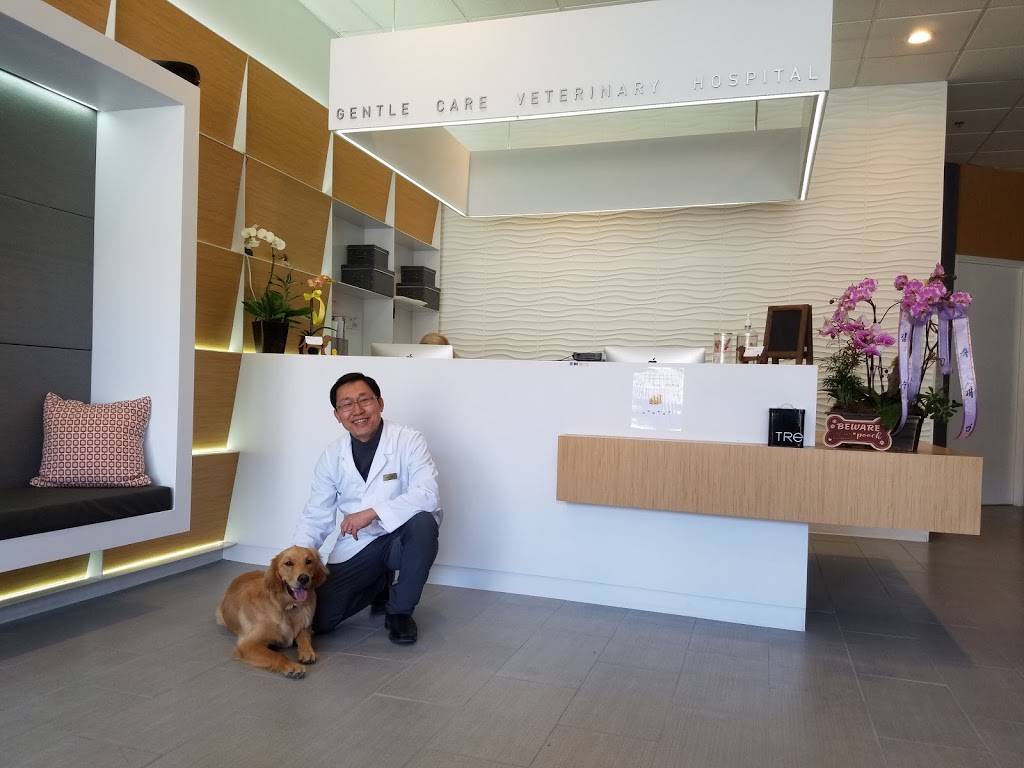 Gentle Care Veterinary Hospital | 22755 Grand St, Hayward, CA 94541, USA | Phone: (510) 460-9800