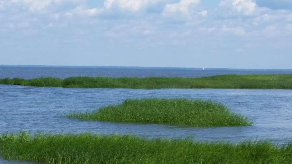 Cape May National Wildlife Refuge | 24 Kimbles Beach Rd, Cape May Court House, NJ 08210, USA | Phone: (609) 463-0994