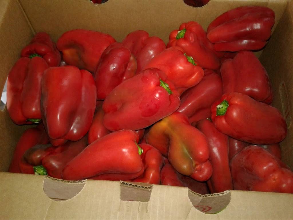 Chicago Produce | 1344 NW 23rd St, Miami, FL 33142, USA | Phone: (305) 635-0884