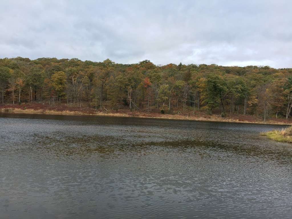 Blue Mountsin Lakes Parking Lot | Sandyston, NJ 07851, USA