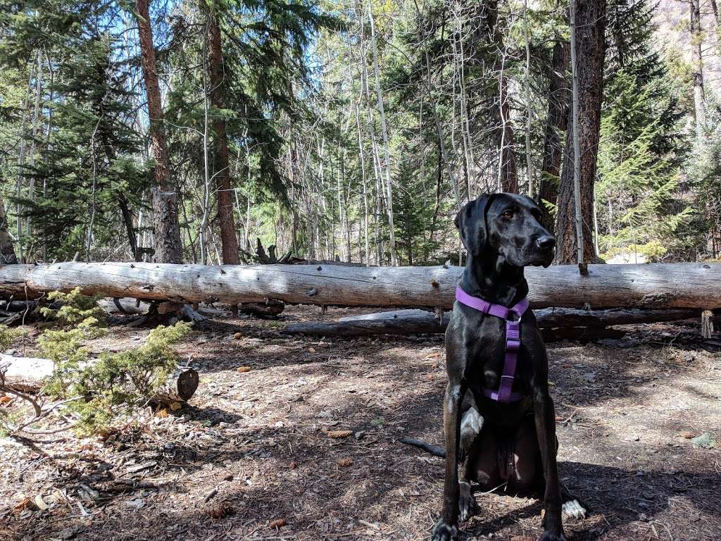 Ben Tyler Trailhead | 54166 US Hwy 285, Bailey, CO 80421, USA