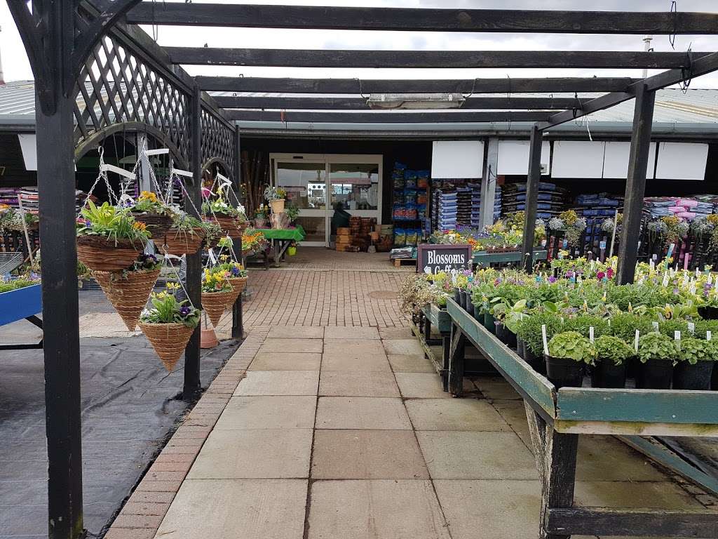 Flittons Nursery & Plant Centre | 51 Woodmansterne Ln, Wallington SM6 0SW, UK | Phone: 020 8647 5615