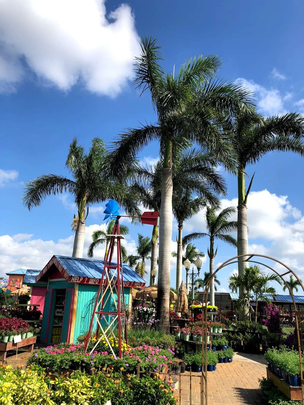 Flamingo Road Nursery | 1655 S Flamingo Rd, Davie, FL 33325, USA | Phone: (954) 476-7878 Flamingo Road Nursery | 1655 S Flamingo Rd, Davie, FL 33325, USA | Phone: (954) 476-7878