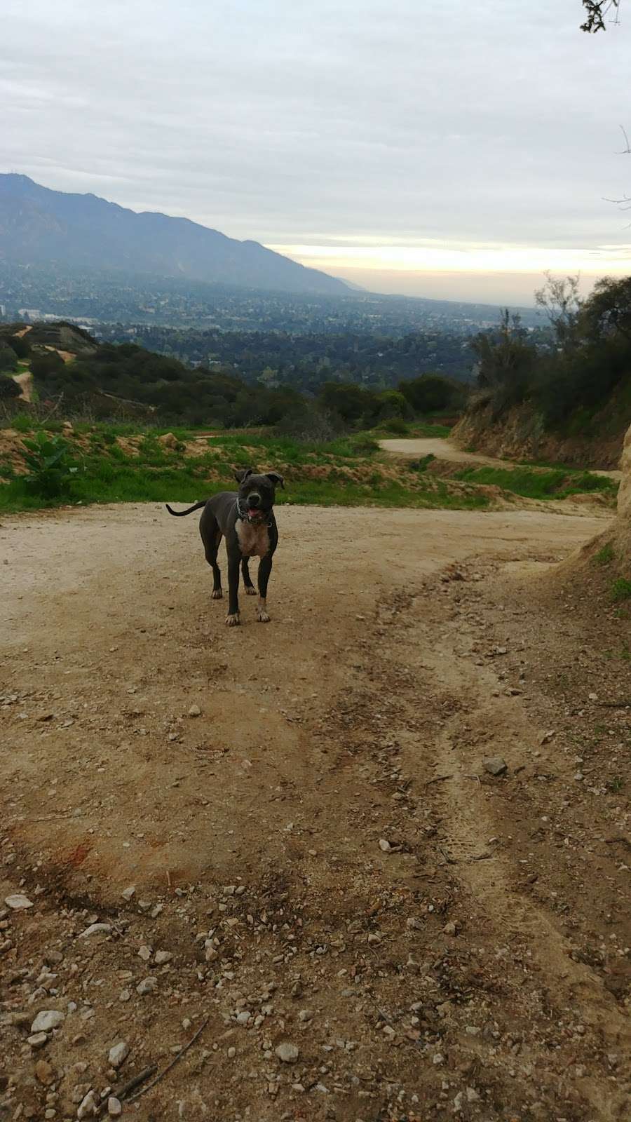 Cherry Canyon MTB Trail Start Point-Gate | 4079 Forest Hill Dr, La Cañada Flintridge, CA 91011