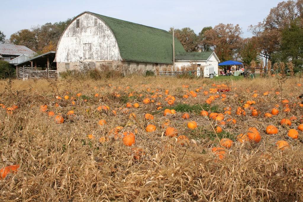 Ohelke Farm - Outdoor Worship (Resurrection) | 163-2702821110004, Woodbury, MN 55129, USA | Phone: (651) 730-1000