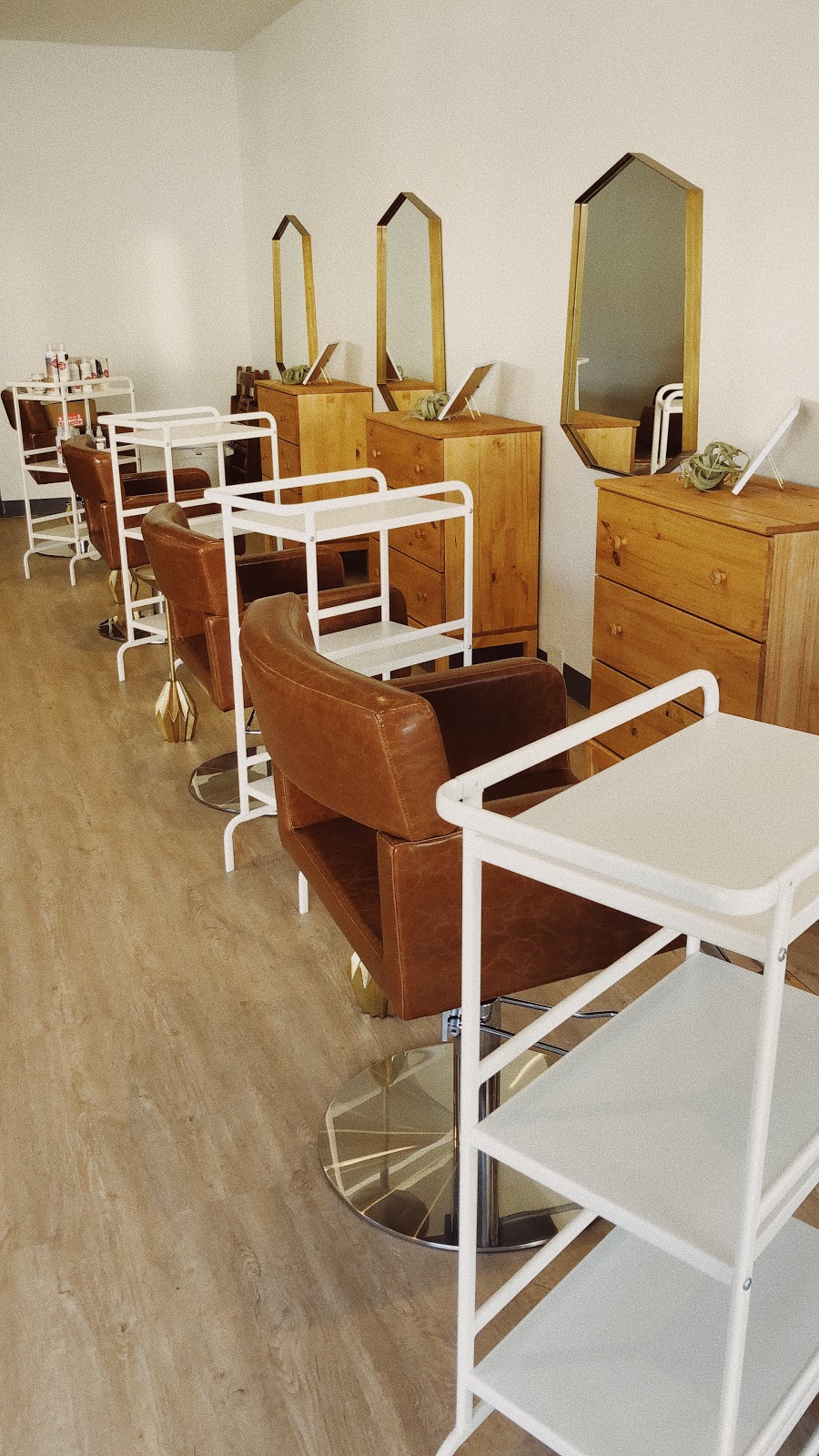 Fibre the Salon | 4521 Park Blvd, San Diego, CA 92116, USA | Phone: (619) 247-7086