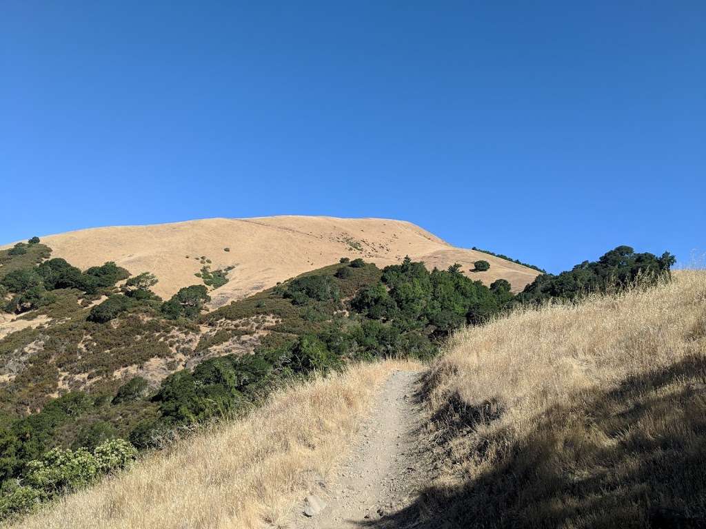 Whites Hill Open Space Preserve | Sir Francis Drake Blvd, Fairfax, CA 94930