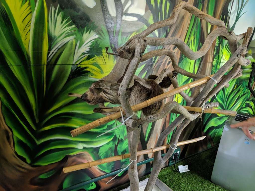 Animal EDventure Park | 10066 Lee Rd, Boynton Beach, FL 33473, USA | Phone: (561) 350-6948