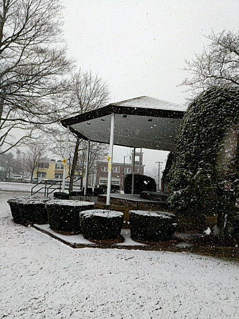 Seaview | 95-99 Central St, Foxborough, MA 02035, USA