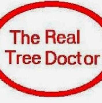 The Real Tree Doctor | 1030 Weisinger Dr, Magnolia, TX 77354, USA | Phone: (281) 704-5627