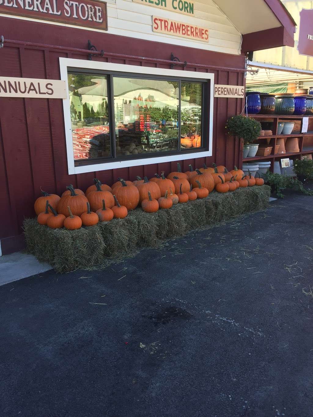 Veras Market Place and Garden Center | 3091 U.S. 9 #102, Cold Spring, NY 10516 | Phone: (845) 265-2151