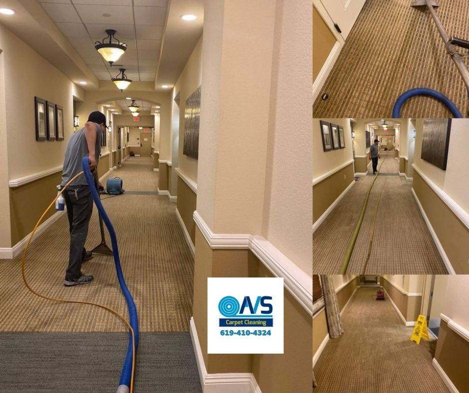 AVS Carpet Cleaning | 3053 Manos Dr, San Diego, CA 92139, United States | Phone: (619) 410-4324