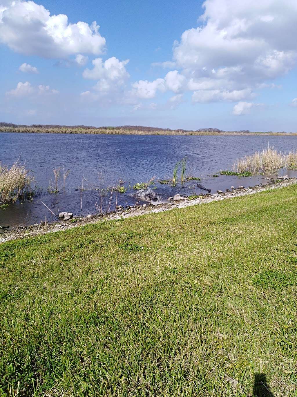 Paul Rardin Park | 4600 State Rd 715, Pahokee, FL 33476, USA | Phone: (561) 992-9067